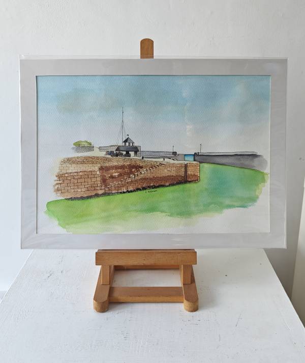- a , Ink Mounted Picture by Craig Robinson, measuring 25 x 38 cm (H x W) £50